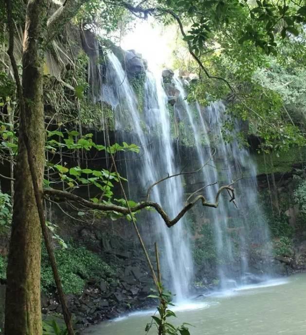 除夕当天开放签证互免 新加坡旅游热度上涨